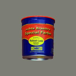 Branths Robust paint (quick drying) can 0.75 l concrete gray RAL 7023
