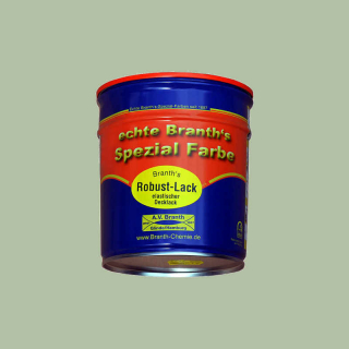 Branths Robust paint (quick drying) can 0.75 l pebble gray RAL 7032