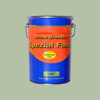 Branths Robust paint (quick drying) 5 liters pebble gray RAL 7032